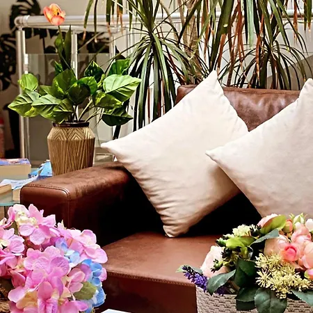 Elegance 3*