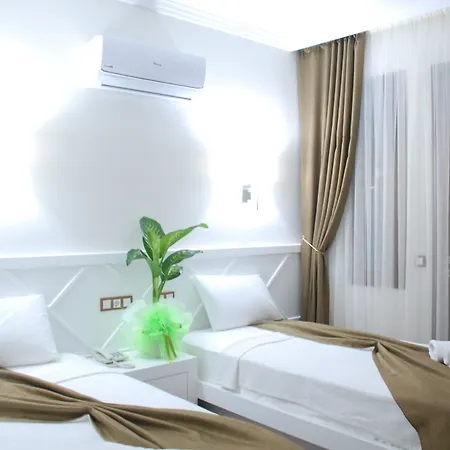 Elegance 3*